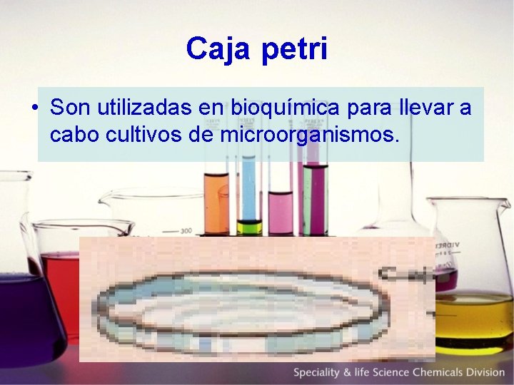 Caja petri • Son utilizadas en bioquímica para llevar a cabo cultivos de microorganismos.