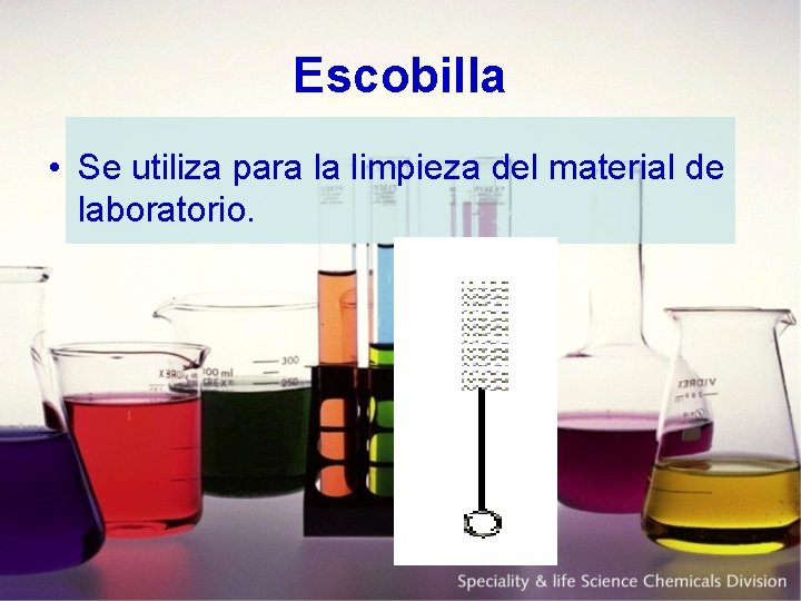 Escobilla • Se utiliza para la limpieza del material de laboratorio. 