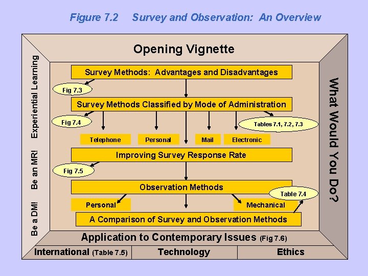 Be an MR! Be a DM! Survey and Observation: An Overview Opening Vignette Survey