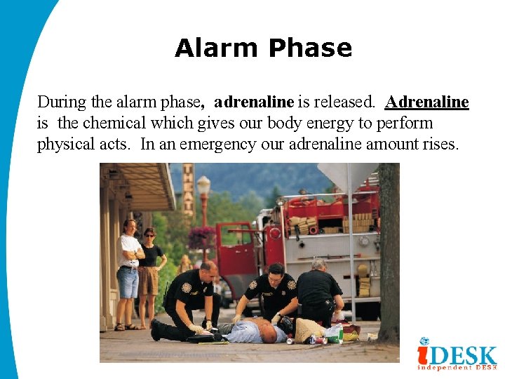 Alarm Phase During the alarm phase, adrenaline is released. Adrenaline is the chemical which