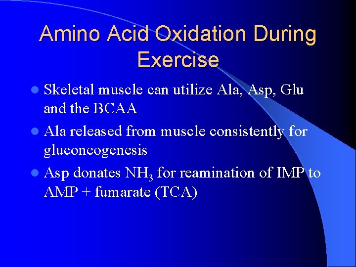 Amino Acid Oxidation During Exercise l Skeletal muscle can utilize Ala, Asp, Glu and