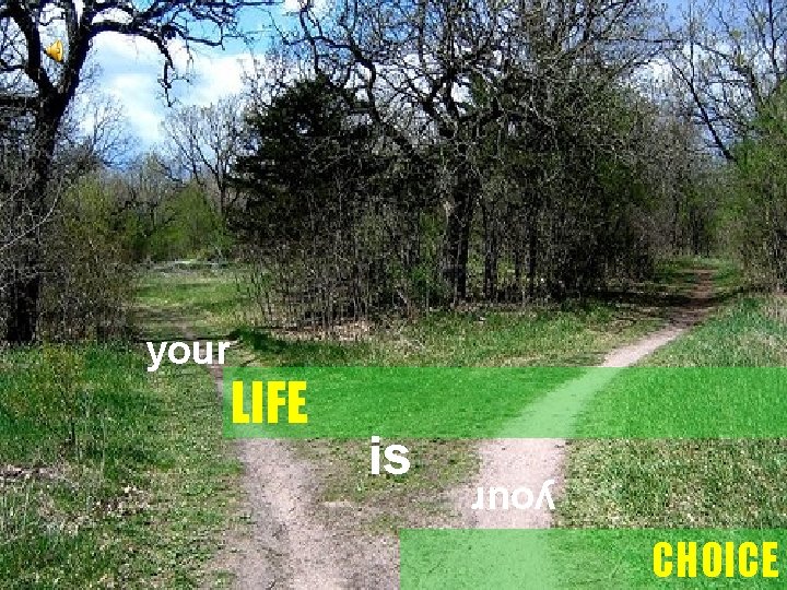 LIFE is your CHOICE 