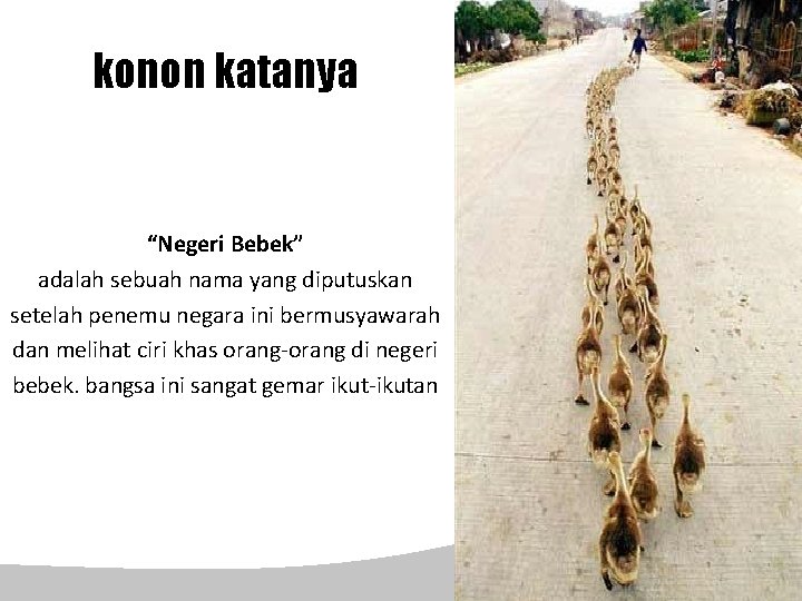 konon katanya “Negeri Bebek” adalah sebuah nama yang diputuskan setelah penemu negara ini bermusyawarah