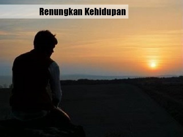 Renungkan Kehidupan 