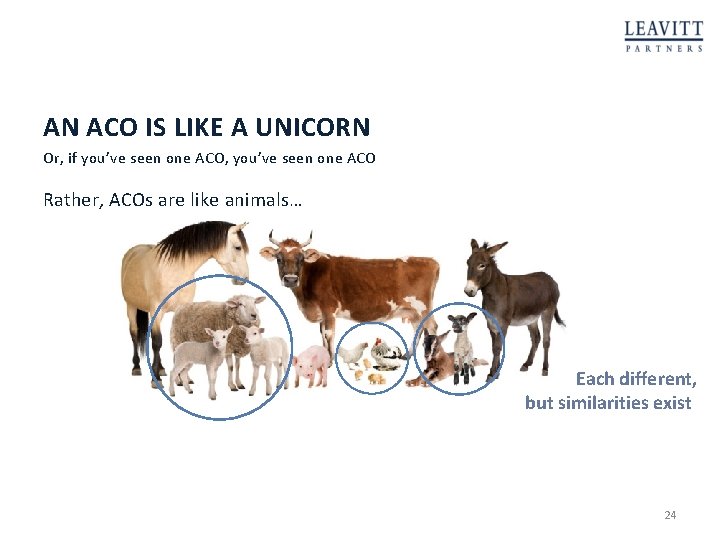 AN ACO IS LIKE A UNICORN Or, if you’ve seen one ACO, you’ve seen