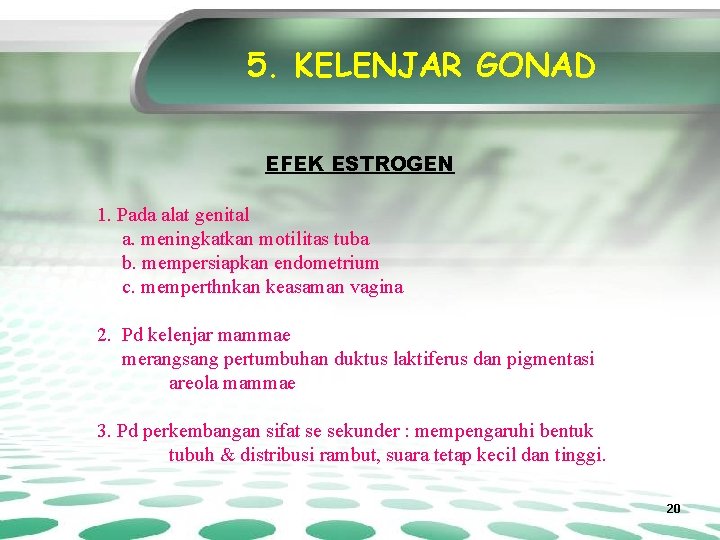 5. KELENJAR GONAD EFEK ESTROGEN 1. Pada alat genital a. meningkatkan motilitas tuba b.