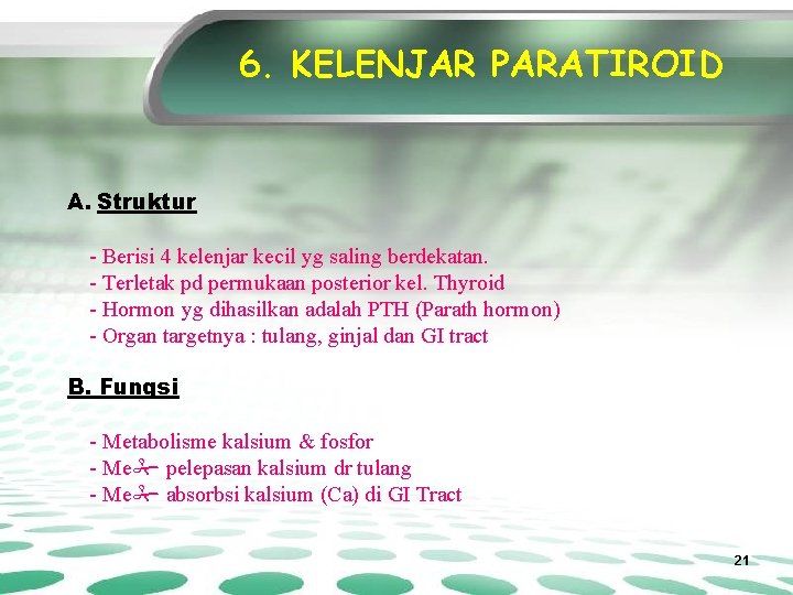 6. KELENJAR PARATIROID A. Struktur - Berisi 4 kelenjar kecil yg saling berdekatan. -