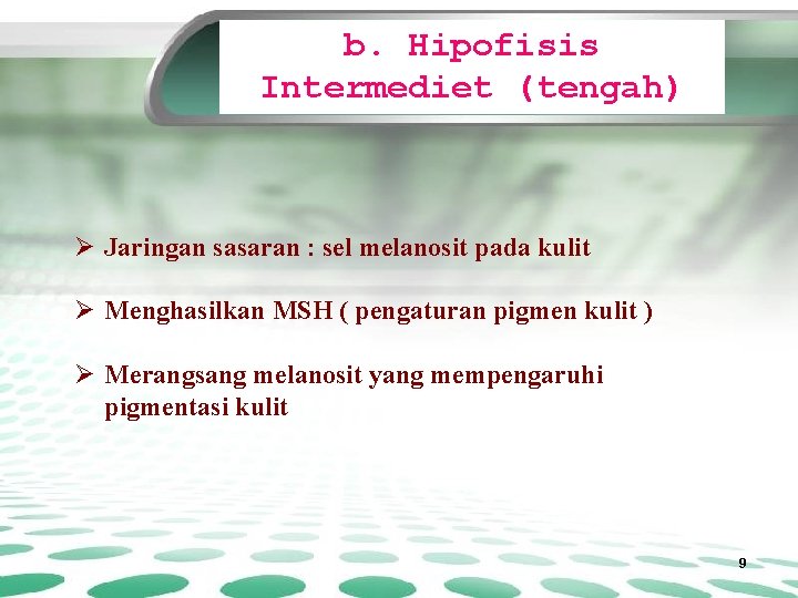 b. Hipofisis Intermediet (tengah) Ø Jaringan sasaran : sel melanosit pada kulit Ø Menghasilkan