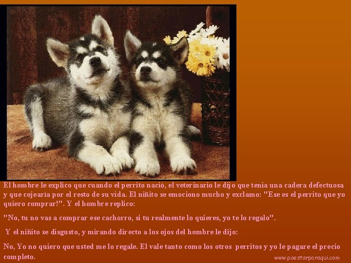 El hombre le explico que cuando el perrito nació, el veterinario le dijo que