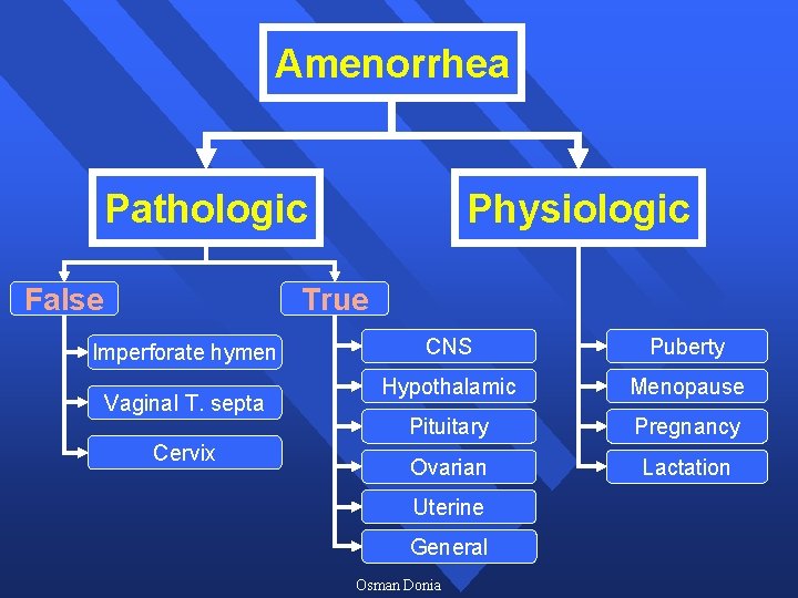 Amenorrhea Pathologic False Physiologic True Imperforate hymen Vaginal T. septa Cervix CNS Puberty Hypothalamic