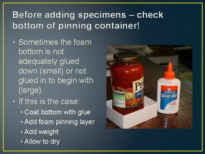 Before adding specimens – check bottom of pinning container! • Sometimes the foam bottom