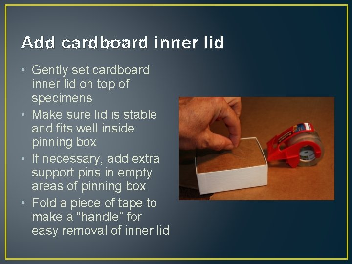 Add cardboard inner lid • Gently set cardboard inner lid on top of specimens