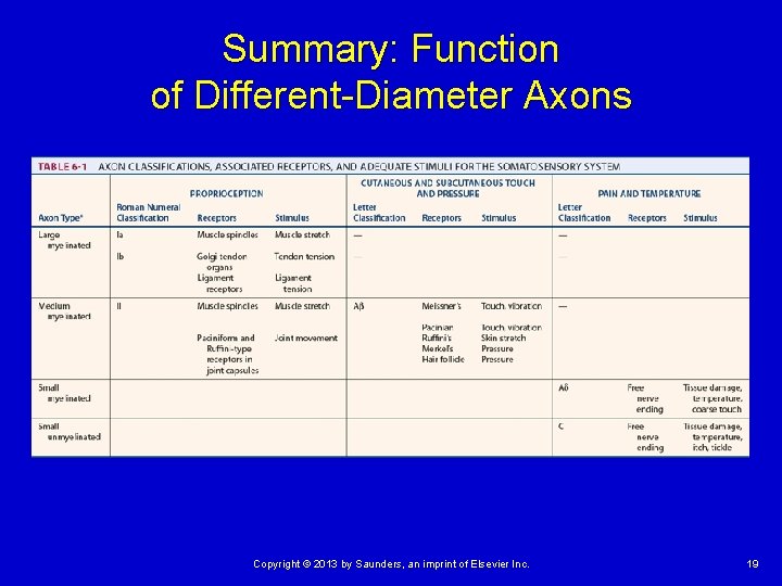 Summary: Function of Different-Diameter Axons Copyright © 2013 by Saunders, an imprint of Elsevier