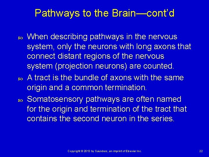 Pathways to the Brain—cont’d When describing pathways in the nervous system, only the neurons