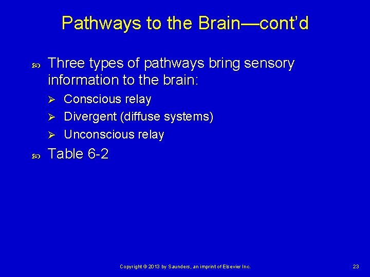 Pathways to the Brain—cont’d Three types of pathways bring sensory information to the brain:
