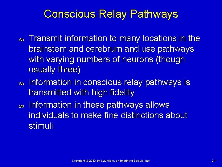 Conscious Relay Pathways Transmit information to many locations in the brainstem and cerebrum and