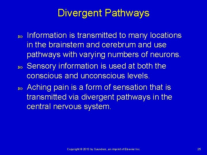 Divergent Pathways Information is transmitted to many locations in the brainstem and cerebrum and