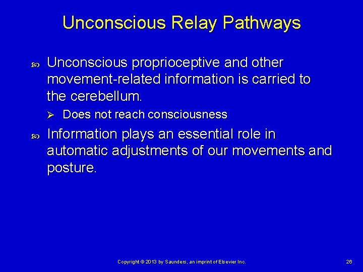 Unconscious Relay Pathways Unconscious proprioceptive and other movement-related information is carried to the cerebellum.