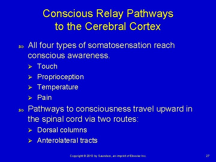 Conscious Relay Pathways to the Cerebral Cortex All four types of somatosensation reach conscious