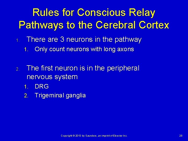 Rules for Conscious Relay Pathways to the Cerebral Cortex 1. There are 3 neurons