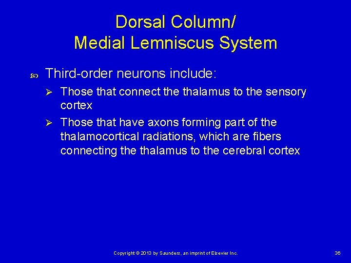 Dorsal Column/ Medial Lemniscus System Third-order neurons include: Those that connect the thalamus to