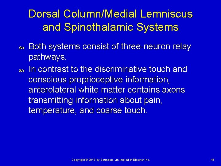 Dorsal Column/Medial Lemniscus and Spinothalamic Systems Both systems consist of three-neuron relay pathways. In