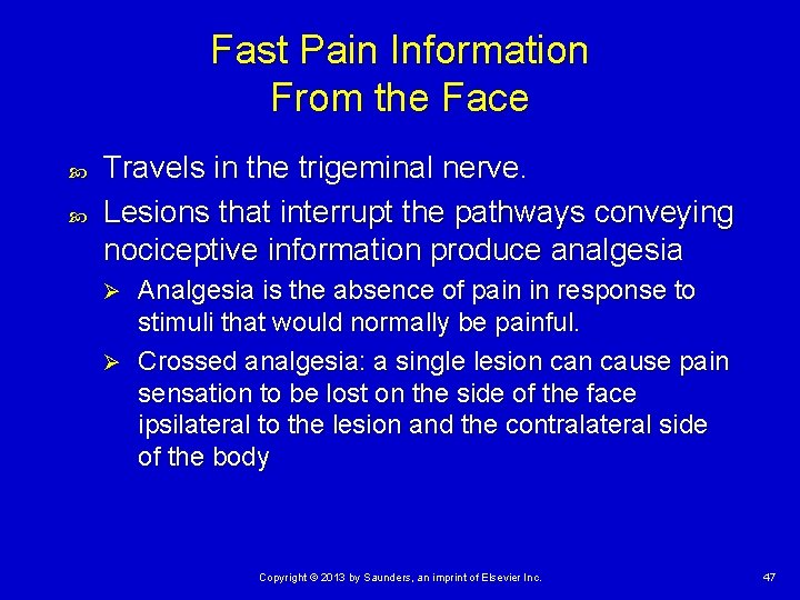 Fast Pain Information From the Face Travels in the trigeminal nerve. Lesions that interrupt