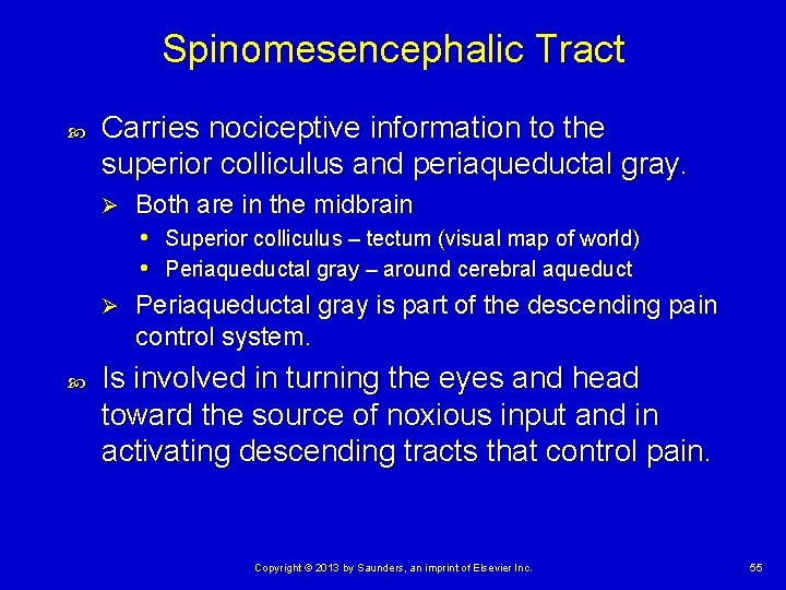 Spinomesencephalic Tract Carries nociceptive information to the superior colliculus and periaqueductal gray. Both are