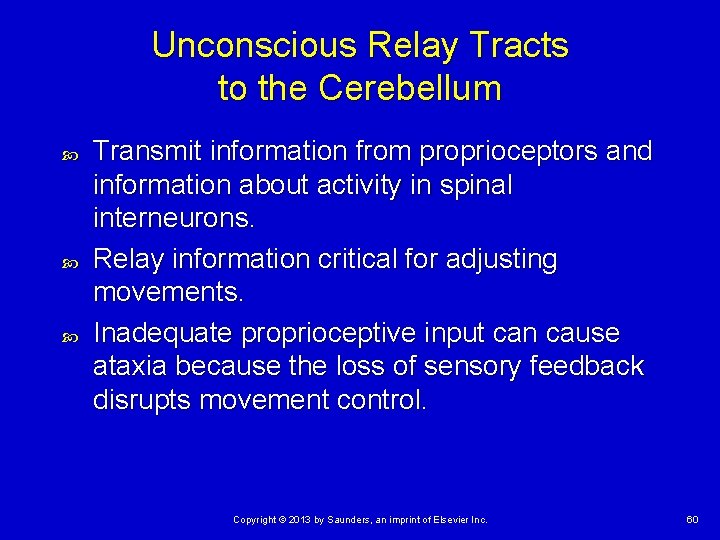 Unconscious Relay Tracts to the Cerebellum Transmit information from proprioceptors and information about activity