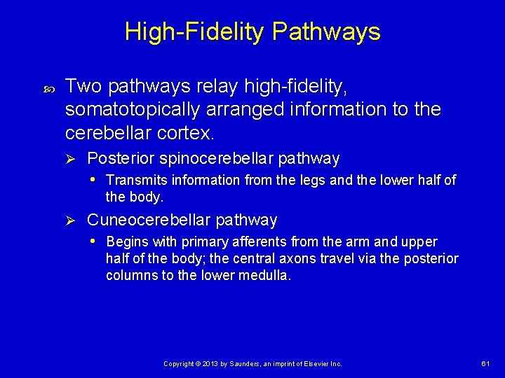 High-Fidelity Pathways Two pathways relay high-fidelity, somatotopically arranged information to the cerebellar cortex. Ø