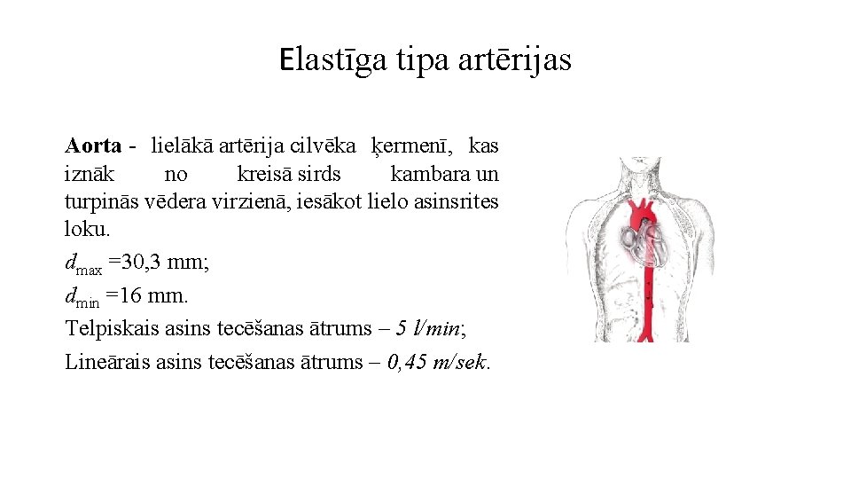 Elastīga tipa artērijas Aorta - lielākā artērija cilvēka ķermenī, kas iznāk no kreisā sirds