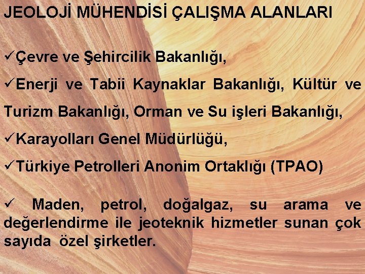 JEOLOJİ MÜHENDİSİ ÇALIŞMA ALANLARI üÇevre ve Şehircilik Bakanlığı, üEnerji ve Tabii Kaynaklar Bakanlığı, Kültür