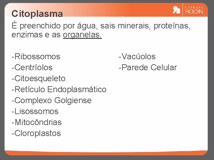 Citoplasma É preenchido por água, sais minerais, proteínas, enzimas e as organelas. -Ribossomos -Centríolos