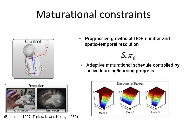 Maturational constraints • Progressive growths of DOF number and spatio-temporal resolution • Adaptive maturational