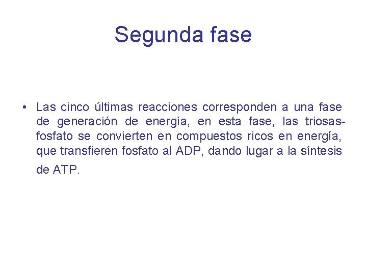 Segunda fase • Las cinco últimas reacciones corresponden a una fase de generación de