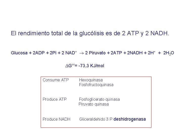 El rendimiento total de la glucólisis es de 2 ATP y 2 NADH. Glucosa