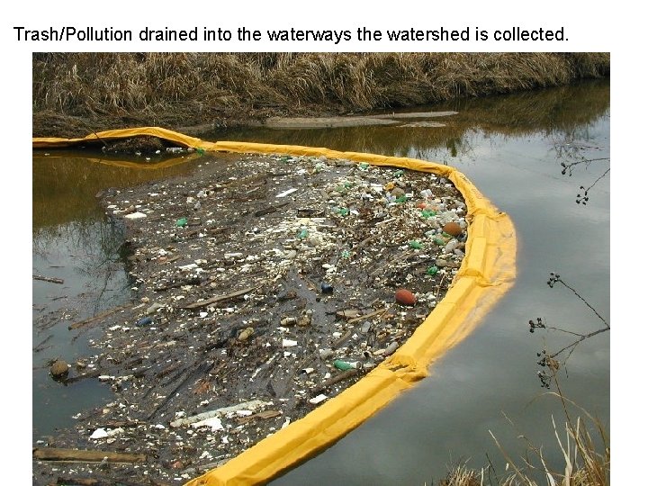 Trash/Pollution drained into the waterways the watershed is collected. 