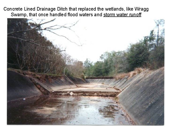 Concrete Lined Drainage Ditch that replaced the wetlands, like Wragg Swamp, that once handled