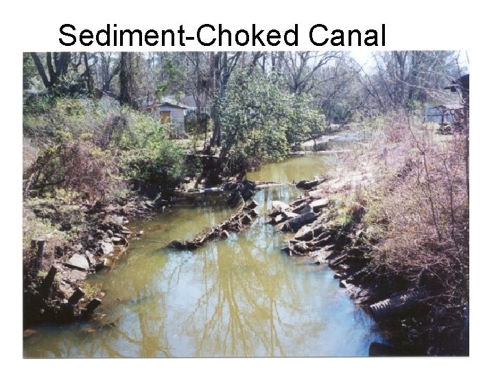 Sediment-Choked Canal 