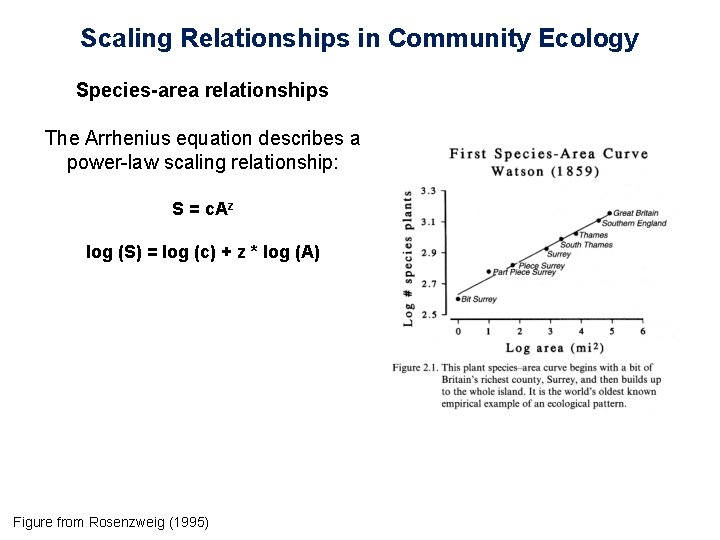Scaling Relationships in Community Ecology Species-area relationships The Arrhenius equation describes a power-law scaling