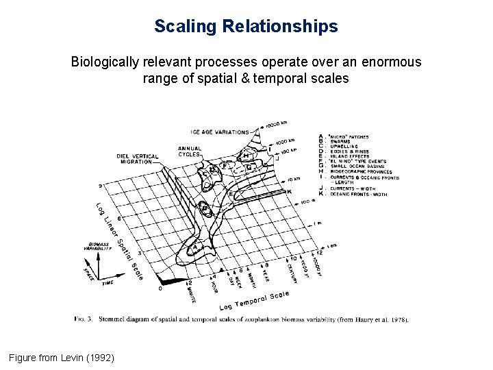 Scaling Relationships Biologically relevant processes operate over an enormous range of spatial & temporal