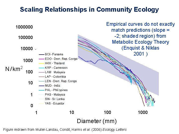 Scaling Relationships in Community Ecology Empirical curves do not exactly match predictions (slope =