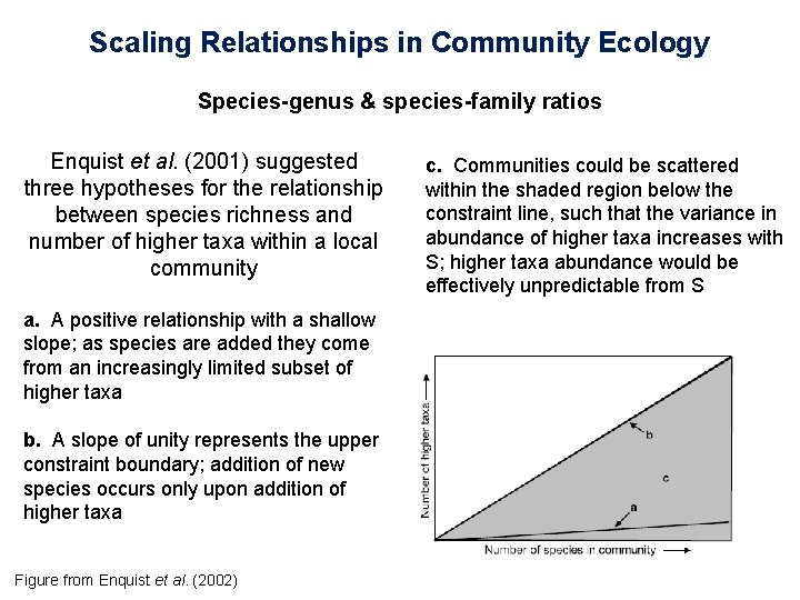 Scaling Relationships in Community Ecology Species-genus & species-family ratios Enquist et al. (2001) suggested