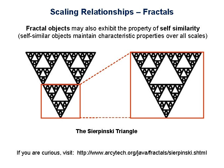 Scaling Relationships – Fractals Fractal objects may also exhibit the property of self similarity