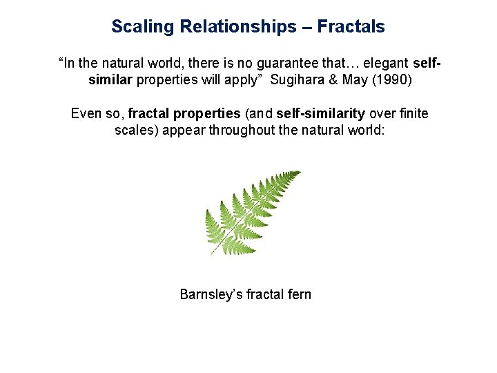 Scaling Relationships – Fractals “In the natural world, there is no guarantee that… elegant