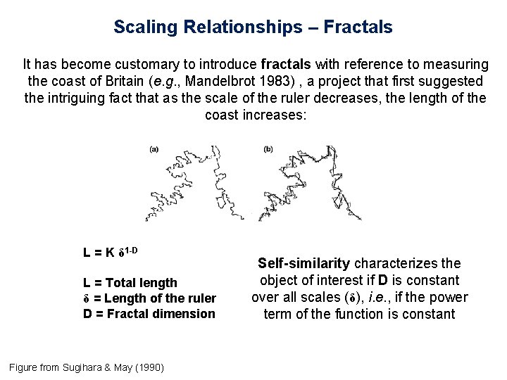 Scaling Relationships – Fractals It has become customary to introduce fractals with reference to