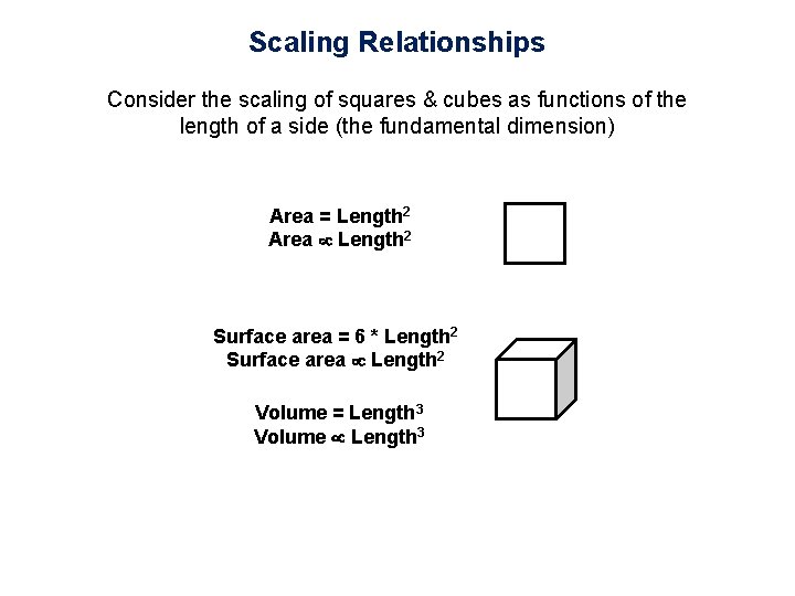 Scaling Relationships Consider the scaling of squares & cubes as functions of the length