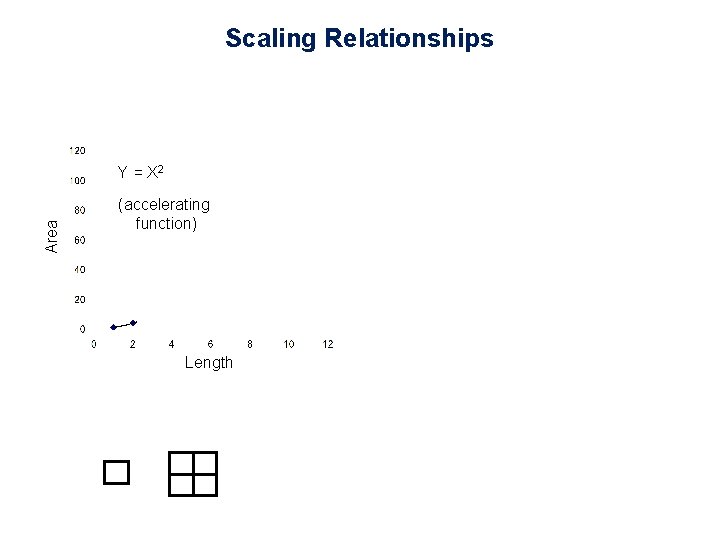 Scaling Relationships Area Y = X 2 (accelerating function) Length 