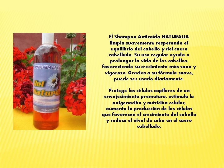 El Shampoo Anticaída NATURALIA limpia suavemente respetando el equilibrio del cabello y del cuero