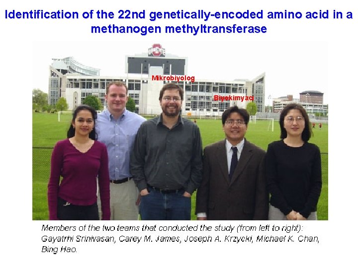 Identification of the 22 nd genetically-encoded amino acid in a methanogen methyltransferase Mikrobiyolog Biyokimyacı